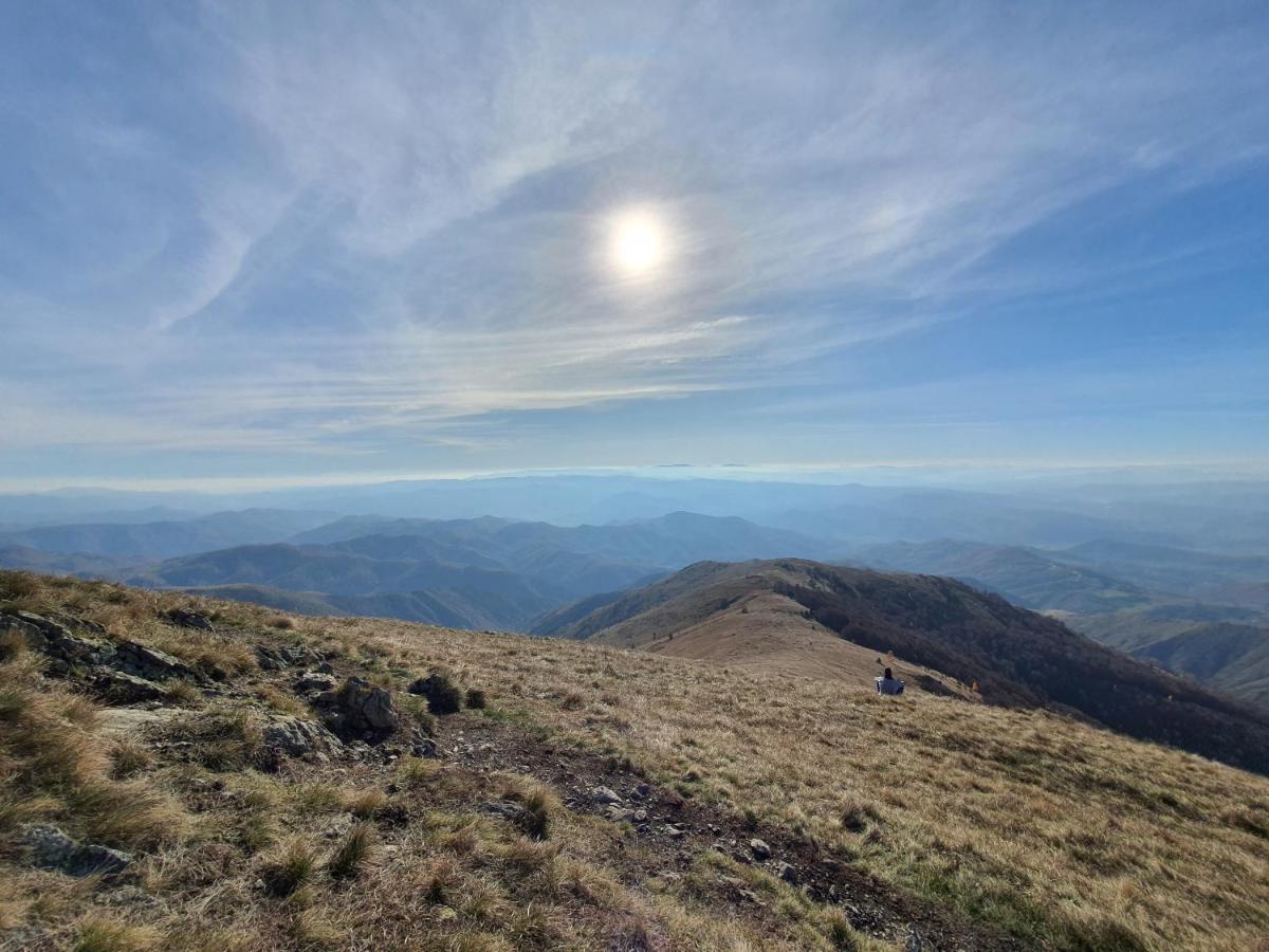 Vikendica Vila Despotovic Kopaonik Exterior foto