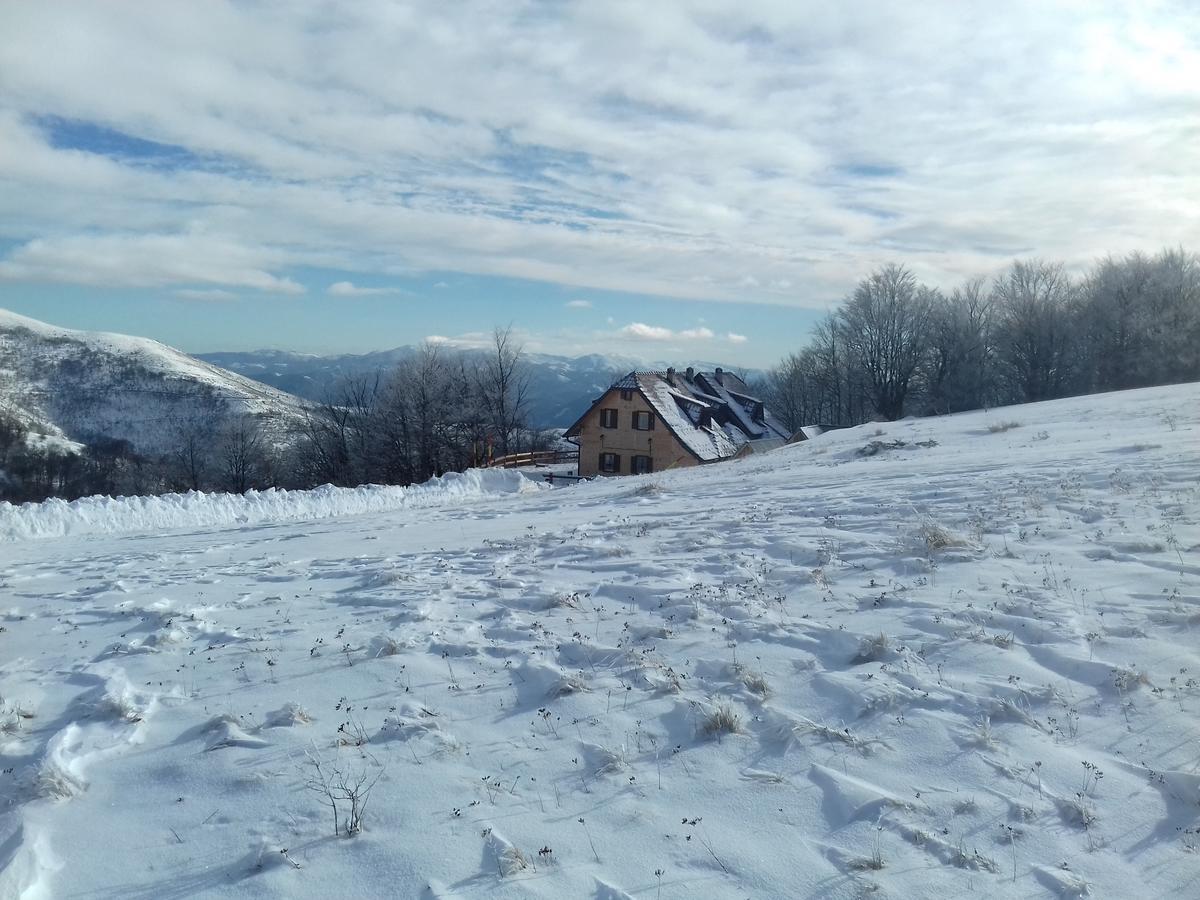 Vikendica Vila Despotovic Kopaonik Exterior foto