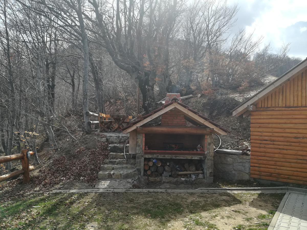 Vikendica Vila Despotovic Kopaonik Exterior foto