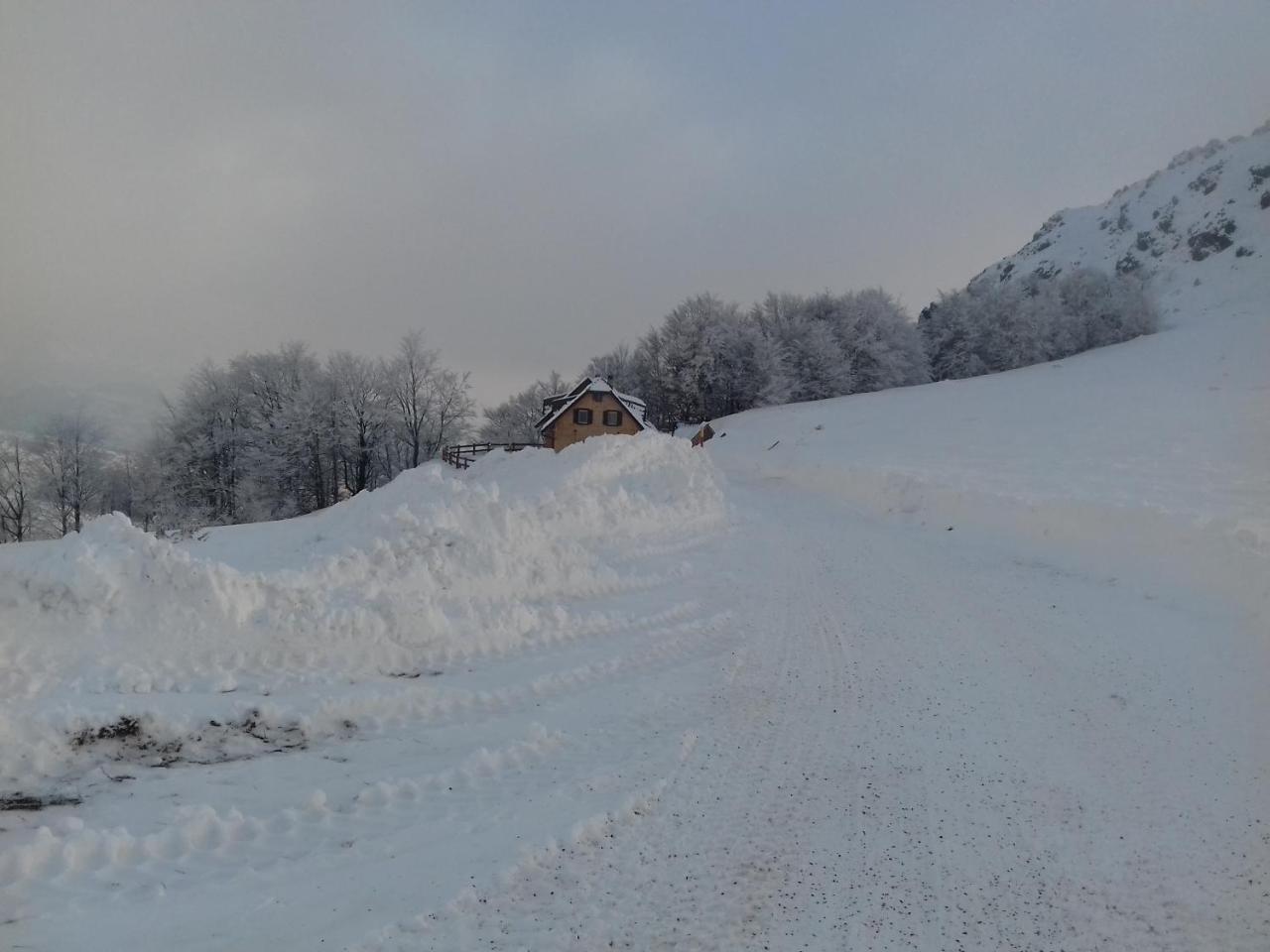 Vikendica Vila Despotovic Kopaonik Exterior foto