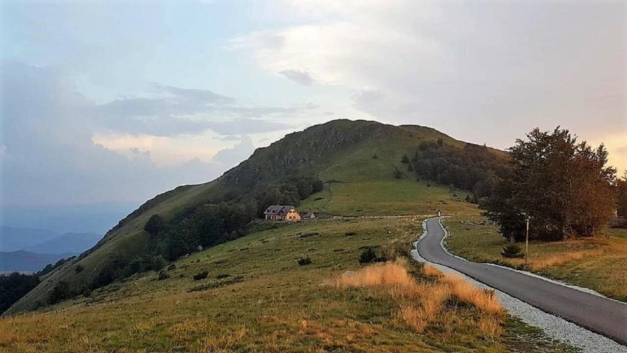 Vikendica Vila Despotovic Kopaonik Exterior foto